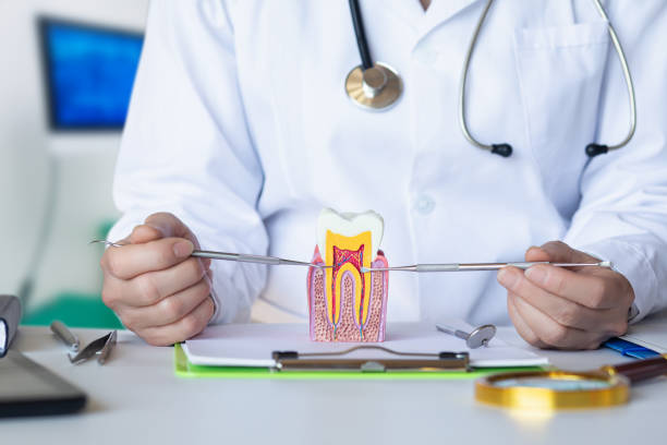 Best Root Canal Emergency Dentist  in Norway, MI